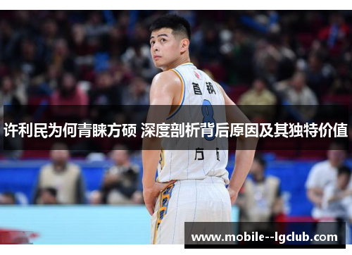 许利民为何青睐方硕 深度剖析背后原因及其独特价值