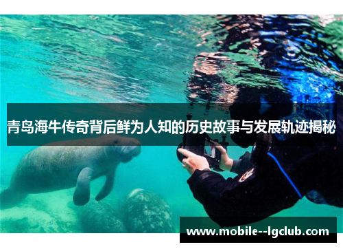 青岛海牛传奇背后鲜为人知的历史故事与发展轨迹揭秘 青岛海牛传奇背后鲜为人知的历史故事与发展轨迹揭秘