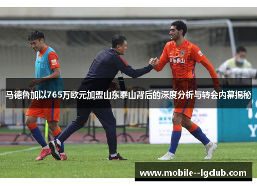 马德鲁加以765万欧元加盟山东泰山背后的深度分析与转会内幕揭秘 马德鲁加以765万欧元加盟山东泰山背后的深度分析与转会内幕揭秘